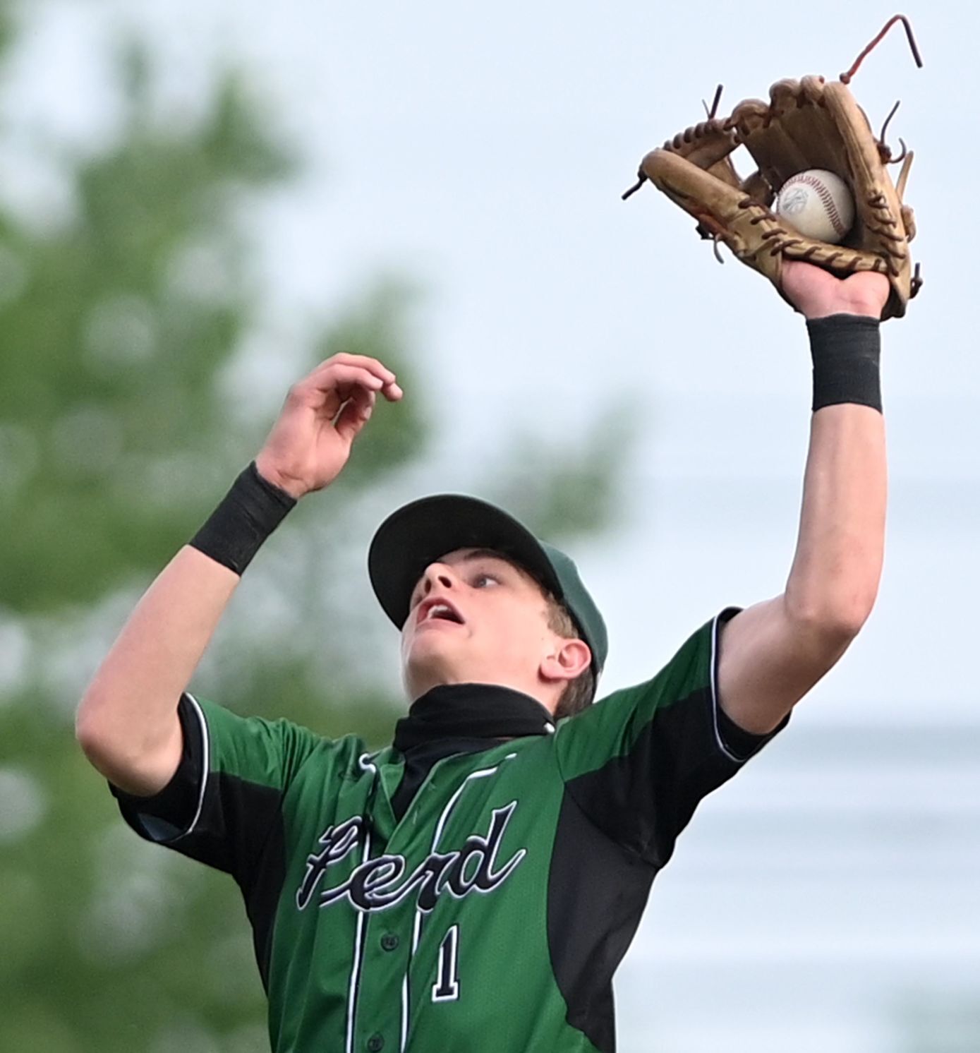 CV Carlisle Baseball 5